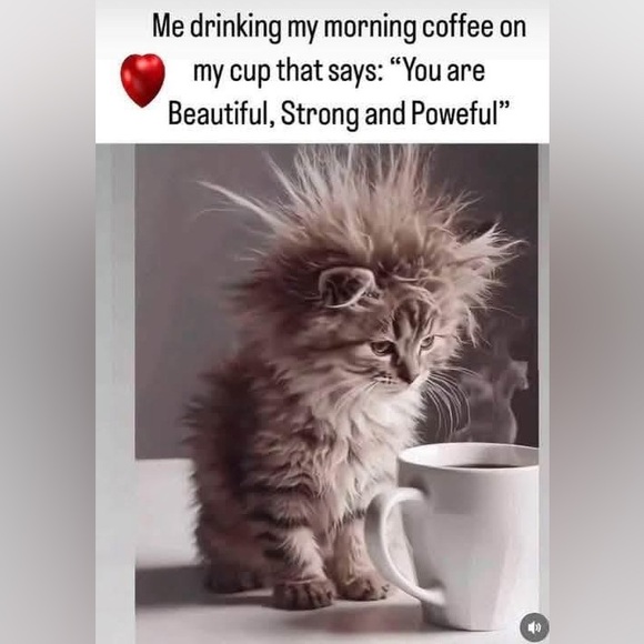 Midweek dinner party - Picture 9 of 9